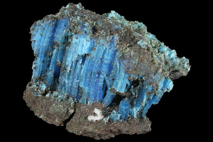 Vibrant Blue Chalcanthite - Planet Mine, Arizona #176463